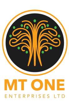 MT ONE Logo