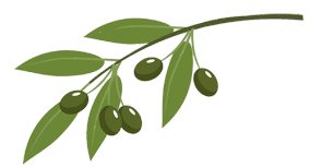 ALESHIAM LOGO
